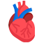 CARDIOVASCULAR DISEASES